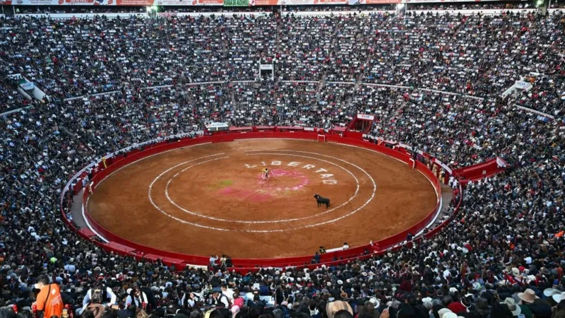 People+are+Protesting+the+Return+of+Bullfighting+in+Mexico+City