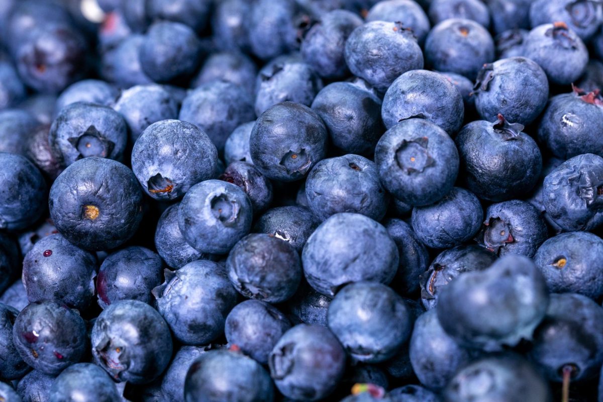 Why blueberries appear blue but are not blue